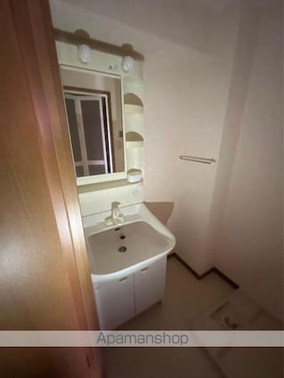 デロリアン　[1K/27.2m2]の洗面所
