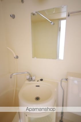 ハイツしんみせ[1R/17.41m2]の洗面所