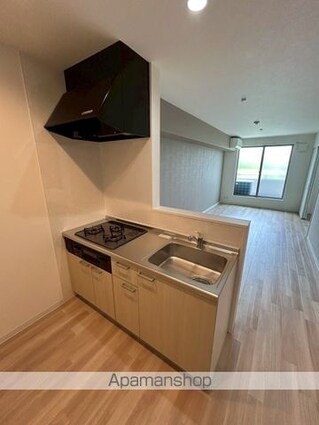 Ｄｉａｓ太子橋[1SLDK/51.19m2]のキッチン