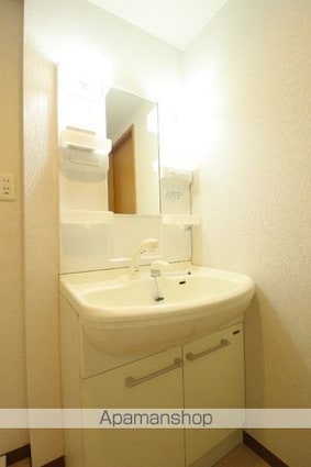 グリーンヒルハイツ[1LDK/41.25m2]の洗面所