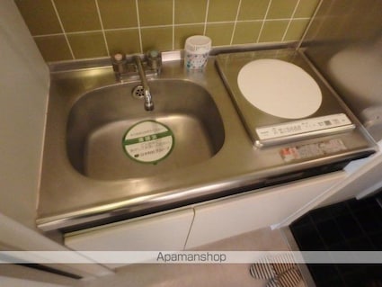 グローリア初穂桜台Ⅱ[1K/19.17m2]のキッチン