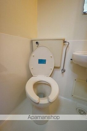 ダイアパレス氷川台[1K/19.42m2]のトイレ