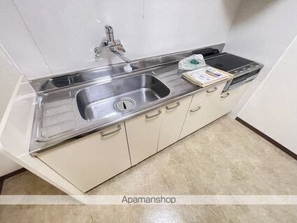 カーサデクエルノⅡ[1LDK/45.3m2]のキッチン