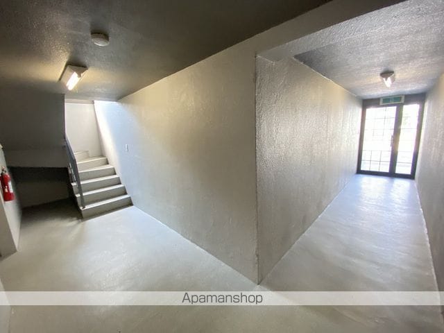 たんぽぽのその他写真