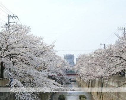 東京都板橋区仲町[1K/29.42m2]の周辺2