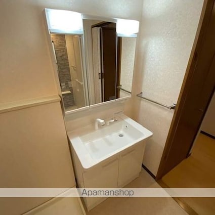 グランシャリオ草津[3LDK/65.23m2]の洗面所