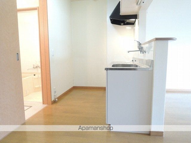 ニッセ富丘IIの内装写真