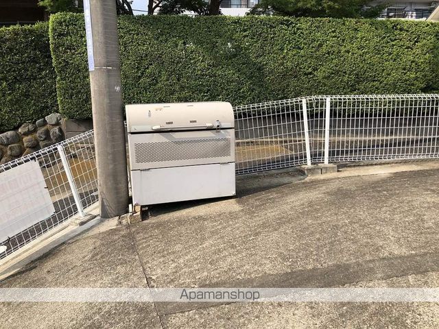 ハイムピーコックのその他写真