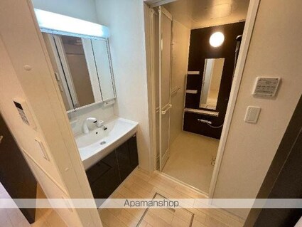 グラン　フェリシア（Ｇｒａｎｄ　Ｆｅｌｉｃｉａ）[1LDK/43.24m2]の洗面所