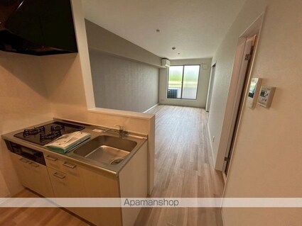 Ｄｉａｓ太子橋[1SLDK/51.19m2]の内装4