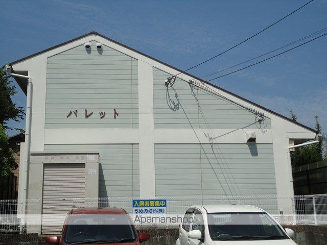 パレットのその他写真