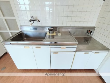 ホワイティー沙羅Ｂ棟[2DK/47.79m2]のキッチン