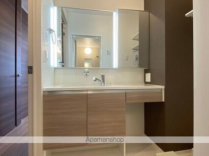 アムール　シェノン[1LDK/30.73m2]の洗面所