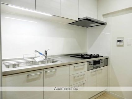 ビレッジハウス芝浦タワー１号棟[2LDK/60.58m2]のキッチン