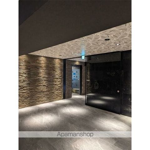 SーRESIDENCE両国SEREAの玄関写真