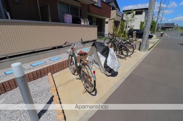 コスモスのその他写真