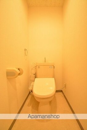 メゾンドレーヌ[1K/26.5m2]のトイレ