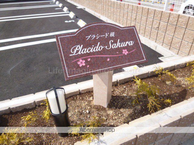 プラシード桜のその他写真