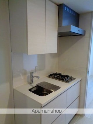 ザ・パークハビオ三軒茶屋テラス[1K/25.48m2]のキッチン