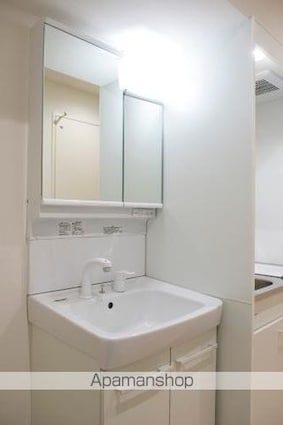 メゾンコリーヌ八柱[1K/20.04m2]の洗面所