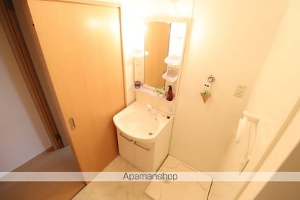 Ｓｃｈｌｏｓｓｅ　Ｆｕｊｉ　ＩＩＩ[1LDK/36.96m2]の洗面所