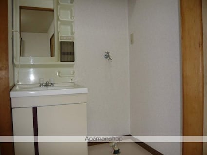 ダイヤパレス[3DK/52.9m2]の洗面所