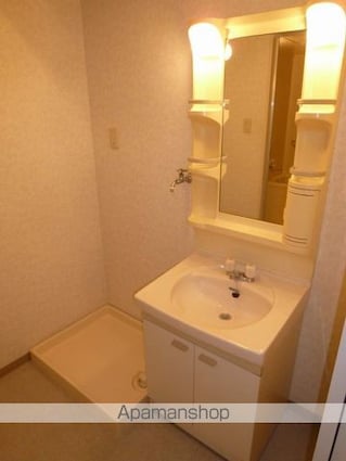 エクセルハイム城山[3LDK/65.52m2]の洗面所