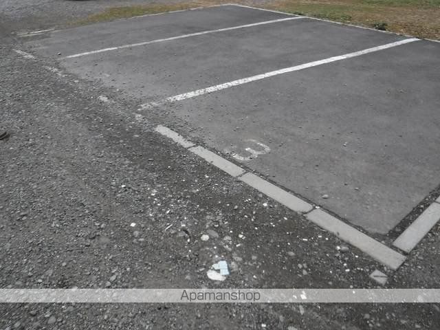 レオネクストステラのその他写真