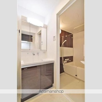 セレニティー名駅[1K/28.65m2]の洗面所