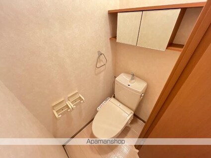 ヴィア　イン　シンタク[1K/29.75m2]のトイレ