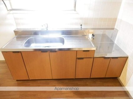 エクセルハイム城山[3LDK/65.45m2]のキッチン