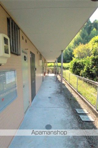 SURPLUS女神のその他写真