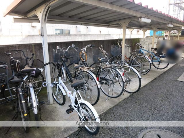 ファルコンのその他写真