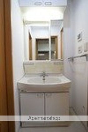 Ｔ’ｓ　ｇａｒｄｅｎ元町[1K/29.62m2]の洗面所