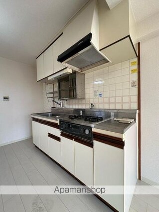 ダイアパレス丸の内６０８号[3LDK/61.05m2]のキッチン