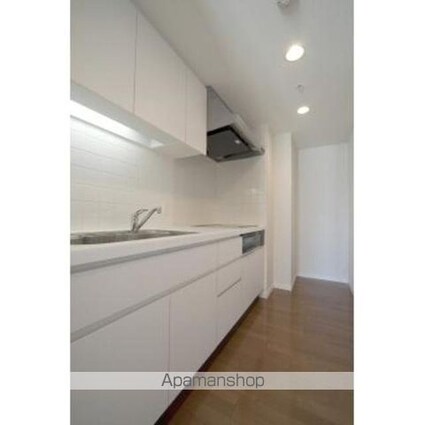 パークアクシス豊洲[2LDK/53.53m2]のキッチン