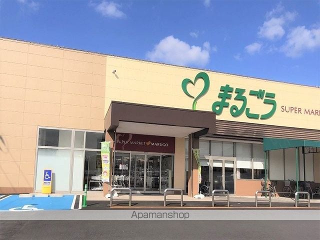 レオネクストアガリミチのその他写真