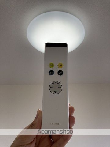 ダイアパレス沼垂四ツ角の内装写真