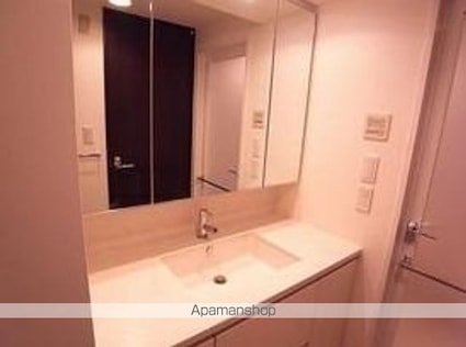 エアライズタワー[2LDK/58.99m2]の洗面所