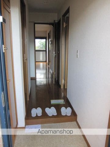 アルストロメリアの周辺写真