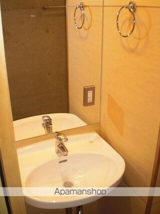 ＡＲＴＩＳ[1LDK/45.68m2]の洗面所