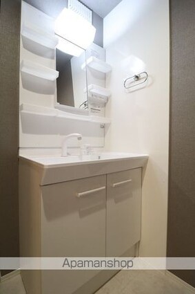 ルノンＩＩ[2LDK/55.04m2]の洗面所