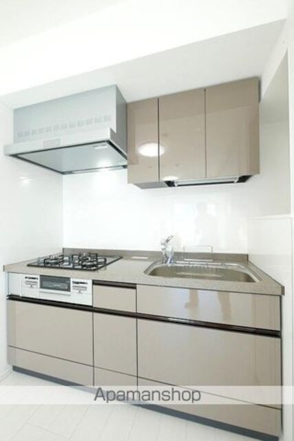 東京都墨田区亀沢４丁目[1LDK/43.95m2]のキッチン