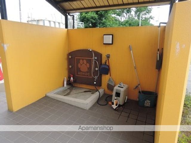 DI COLZAのその他写真