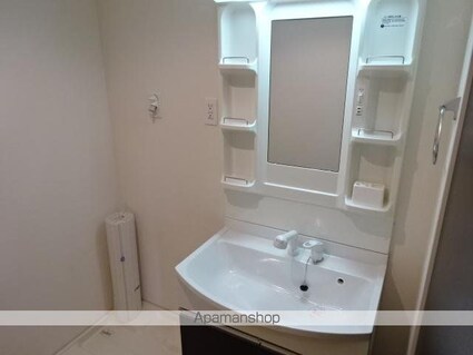 ライジングムサシ[2LDK/54.7m2]の洗面所