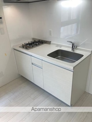 プライマル東新宿[1DK/30.33m2]のキッチン