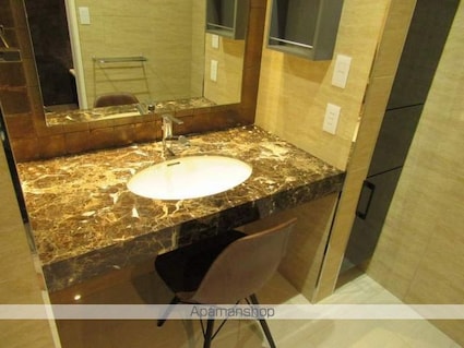 Ｈｉｌｌｓ　Ｒｅｓｉｄｅｎｔｉａｌ　Ｓ１０[1K/45.27m2]の洗面所