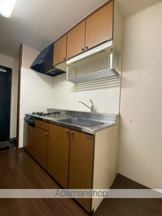 フェニックス１８[1K/37.37m2]のキッチン