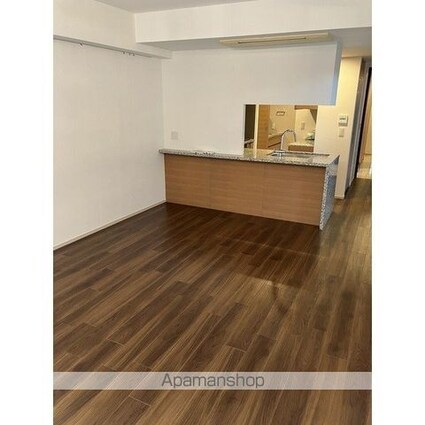 ミッドガーデン赤坂氷川[1SLDK/80.26m2]のその他内装7