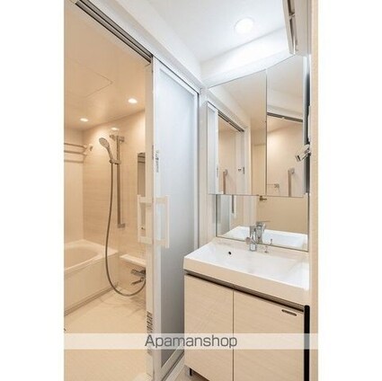 コンフォリア・リヴ新中野ＳＯＵＴＨ[1K/28.88m2]の洗面所